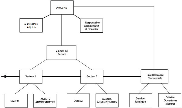 Organigramme de l'AMTPO